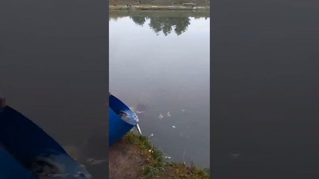 запуск на путевки смотреть онлайн