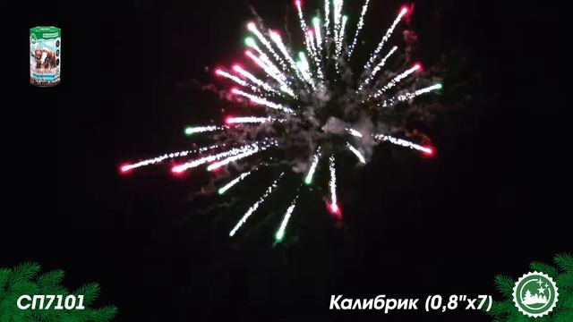 СП7101 смотреть онлайн