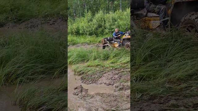 Прокатились с д.Орыни-Скробцово ЛЭП-о.Чубариха#квадроцикл #atvoffroad #brp #stelsguepard #cfmoto