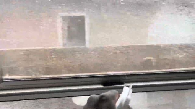 Installing window film to cool off house | Gila windows film for blocking sun and heat смотреть онлайн