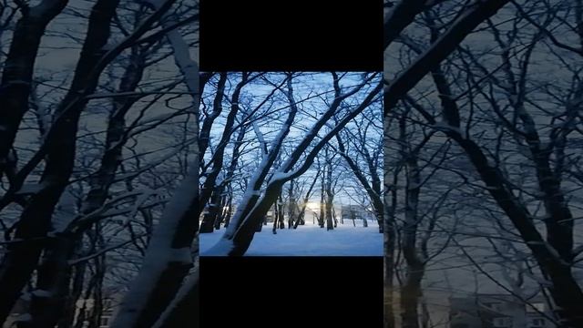 VID_20240103_154931.mp4