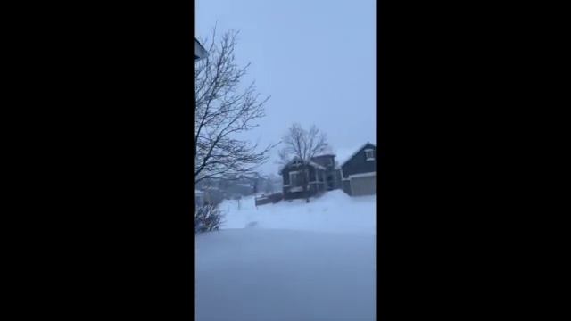 Dyno Spectrum Is my Tune Holy Blizzard Audi S7 Was stuck in snow! Short смотреть онлайн