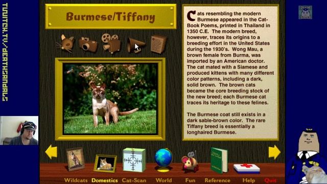 Multimedia Cats (Windows 3.1): The Birth of Cat Videos смотреть онлайн