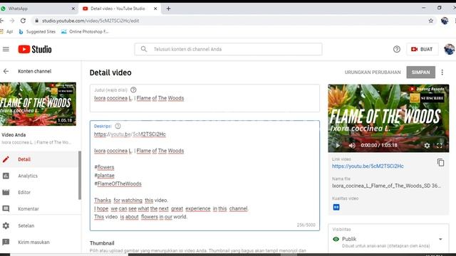 Free Screen Video Recorder смотреть онлайн