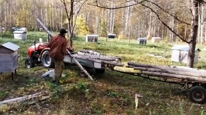 Увожу дрова с пасеки.