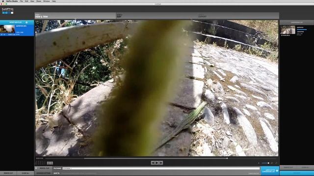 Slow Motion | GoPro Studio für Einsteiger смотреть онлайн