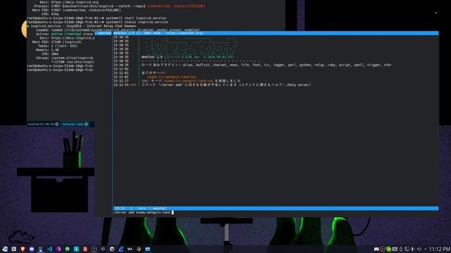 Setting up my first IRC server смотреть онлайн