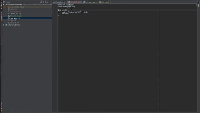 CMake Debugging In CLion