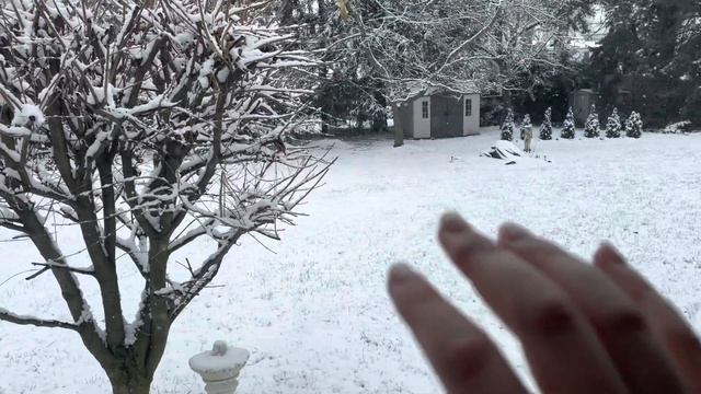 1 minute ASMR | tapping on a window during a light snow fall ❄️ смотреть онлайн