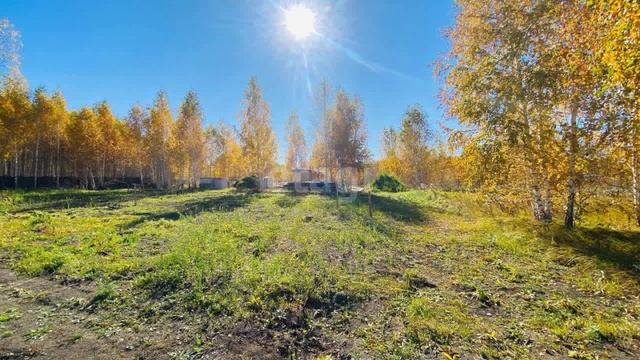 11530689 (1) смотреть онлайн