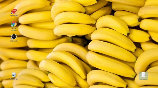 BanRX: How to mine Banano on Windows 10 (using XMRig) смотреть онлайн