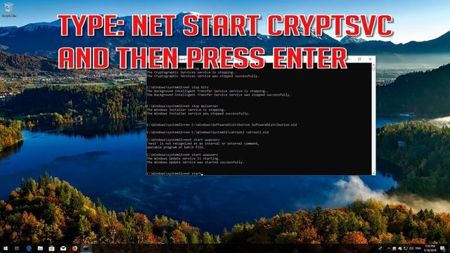 Fix Windows Update Error 0x80246010 on Windows 10 - [4 Solutions] смотреть онлайн