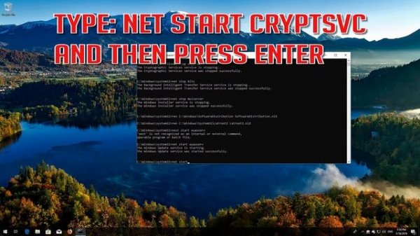 Fix Windows Update Error 0x80246010 on Windows 10 - [4 Solutions]