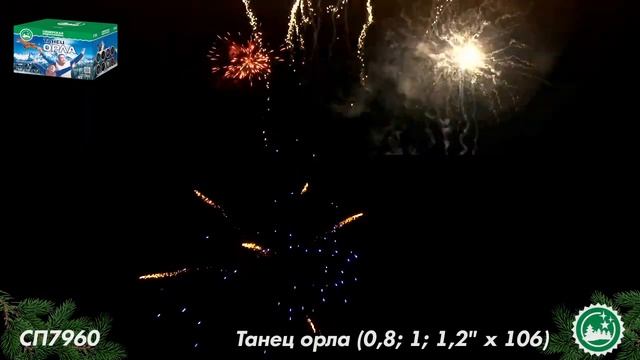 СП 7960 смотреть онлайн