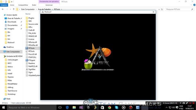 Invoke Function Part I (Process dump PETools) смотреть онлайн