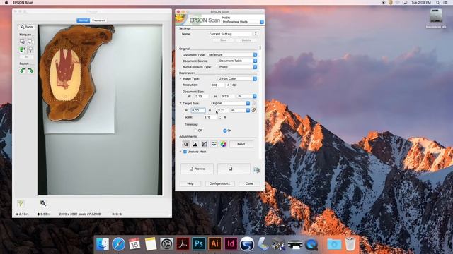 How to Use Epson Scan Like a Pro смотреть онлайн