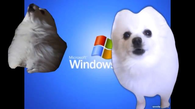 Gabe the dog windows start-up смотреть онлайн