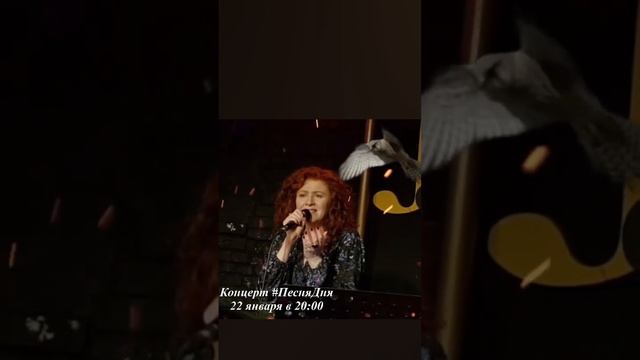 Концерт #ПесняДня 22 января в 20:00 в JAM Club смотреть онлайн