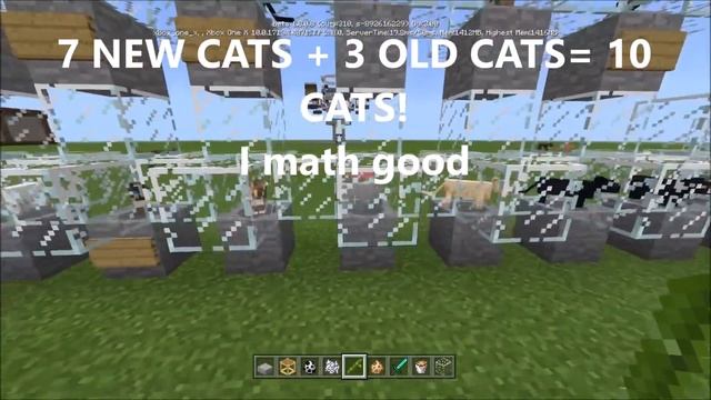 Pandas, New Cats, Bamboo & Scaffolding Preview Minecraft Bedrock Edition [Beta 1.8.0.8] смотреть онлайн