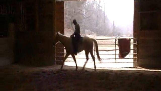 chip riding.wmv смотреть онлайн