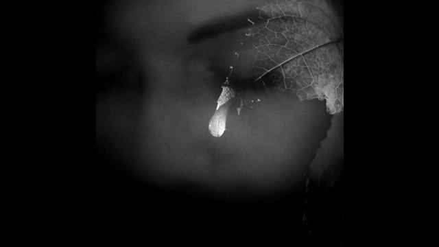Massive Attack -Angel- смотреть онлайн