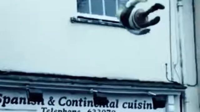 Shrek falling out a window 09/03/18 смотреть онлайн