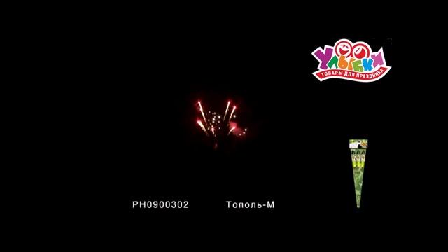 РН0900302 Тополь м смотреть онлайн