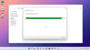 How to download the .NET Framework 3.5 on Windows 11