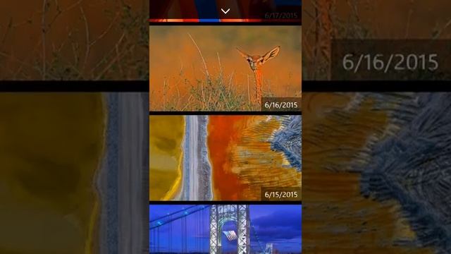 Daily Pic - Baixe os Wallpapers do Bing em HD no seu Windows Phone смотреть онлайн