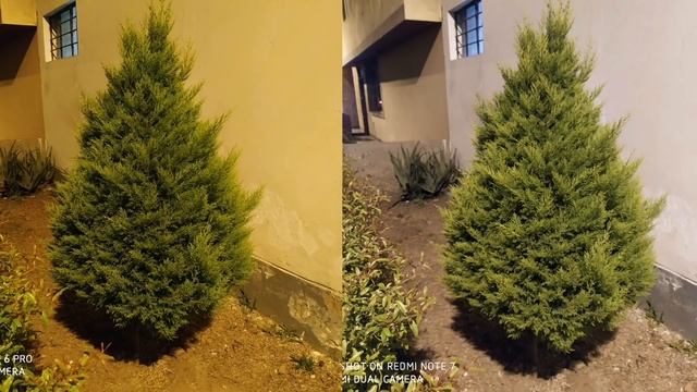 Redmi NOTE 7 vs Redmi NOTE 6 Pro ⚔️ ¿Vale la pena el cambio? 🔥 смотреть онлайн