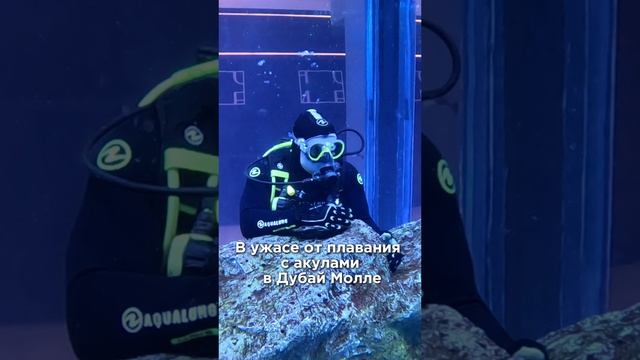 Деньги не сделают тебя счастливым?! смотреть онлайн