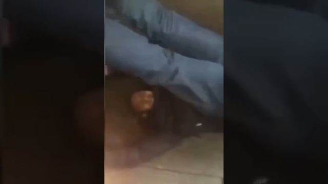 Инвалидный инвалид ✌️😉😂😂😂.mp4 смотреть онлайн