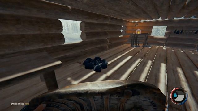 Using a turtle shell to Kobe my way into a window смотреть онлайн
