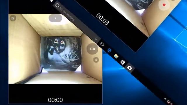 How to use Microsoft 'Camera' app on Windows 8-10 смотреть онлайн