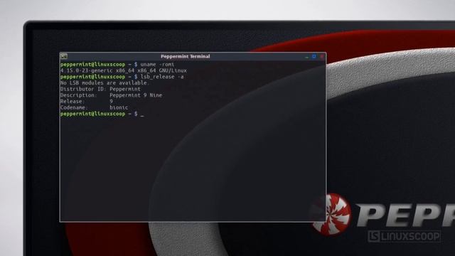 Peppermint OS 9 - See What's New смотреть онлайн