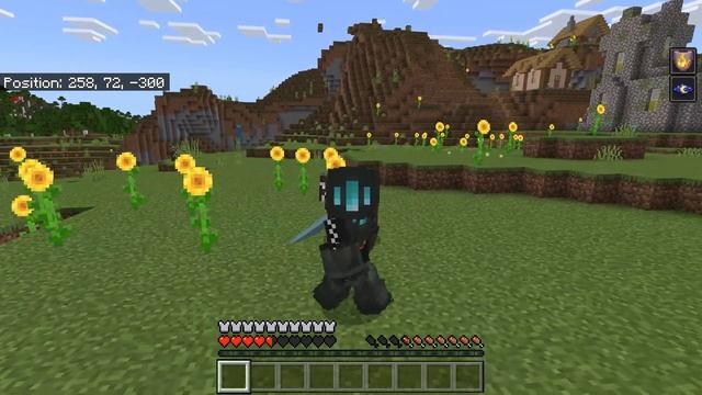 Raiyon's Tools Expansion For Minecraft Pocket Edition / IOS,ANDROID,Windows смотреть онлайн