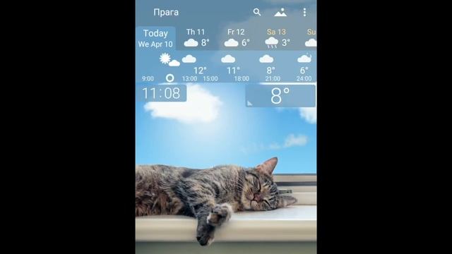 #Cat in a cradle. New YoWindow #Weather app. смотреть онлайн