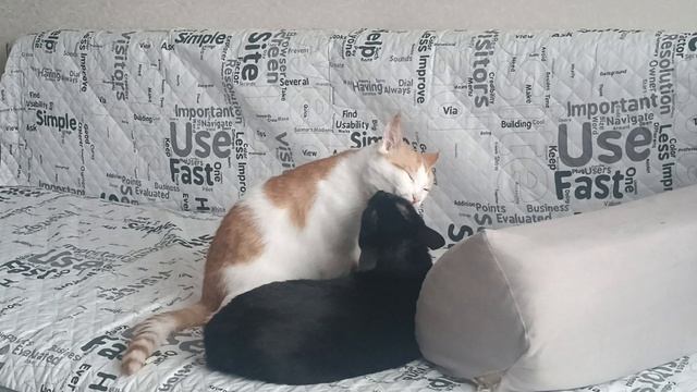 Кузя и девочка смотреть онлайн