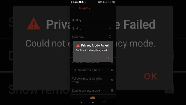 Enable Privacy Mode Off - On AnyDesk