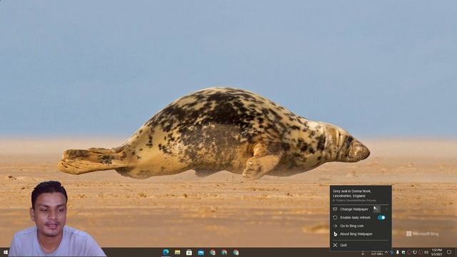 Official Bing Wallpaper App For Windows PC смотреть онлайн