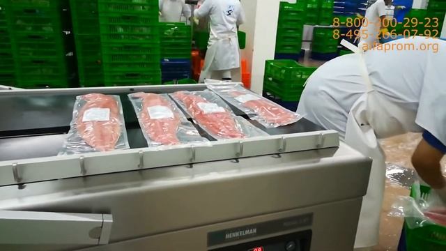 Вакуумный упаковщик Henkelman Polar 2-95 смотреть онлайн