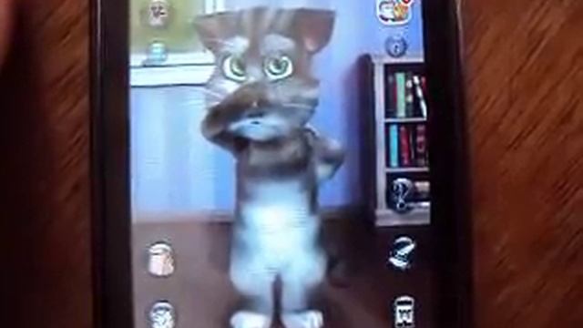 Aplicativo Android (Talking Tom 2)