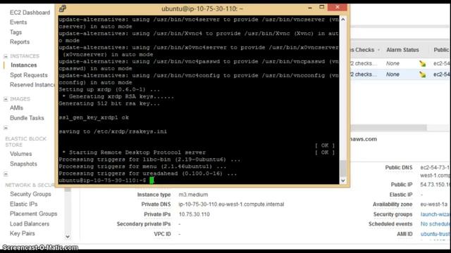 ubuntu EC2 instance as Desktop GUI via RDP смотреть онлайн