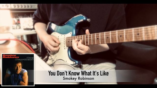 Smokey Robinson - You Don't Know What It's Like【Dann Huff Guitar cover】(Neural DSP Soldano SLO-100) смотреть онлайн