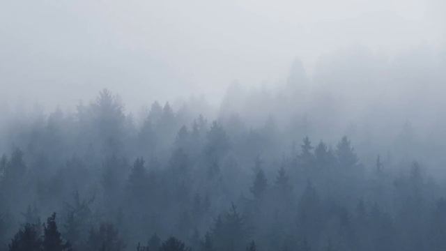 DOWNLOAD ASUS BATTERY HEALTH CHARGING | ANTI OVERCHARGED | Solusi Awet Baterai Laptop смотреть онлайн