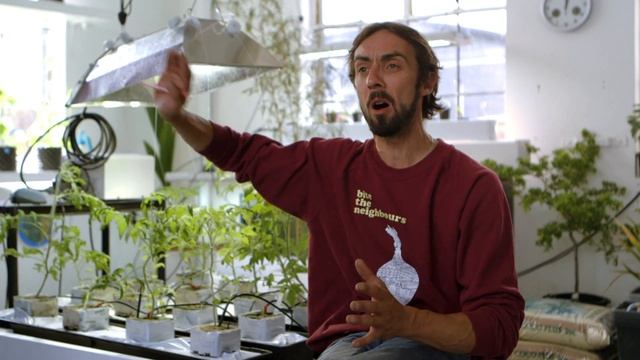 Arthur Guinness Projects | Mushroom City | Guinness GB смотреть онлайн