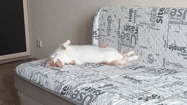 Кузя смотреть онлайн