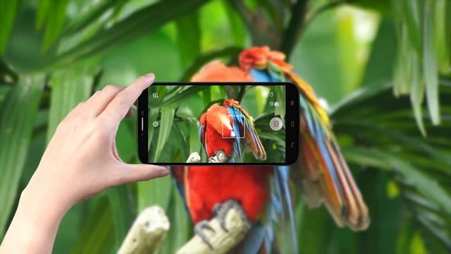 Introducing ALCATEL ONETOUCH HERO 2 смотреть онлайн