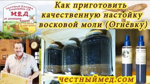 Как приготовить качественную настойку восковой моли (Огнёвку).