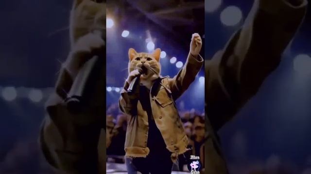 #Мая_Лето, Котик Лео на вечеринке смотреть онлайн